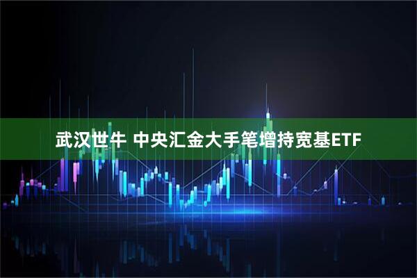 武汉世牛 中央汇金大手笔增持宽基ETF