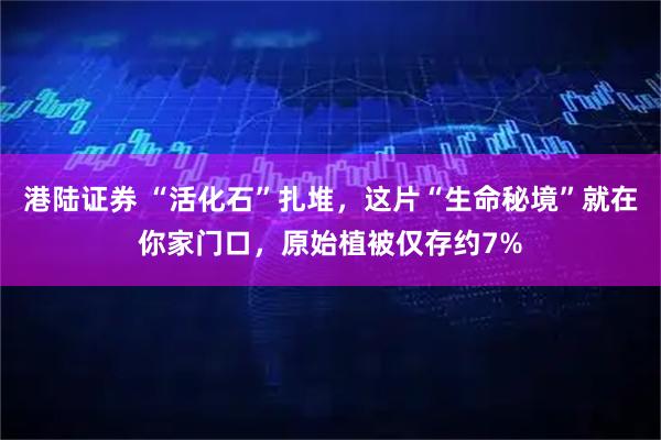 港陆证券 “活化石”扎堆，这片“生命秘境”就在你家门口，原始植被仅存约7%