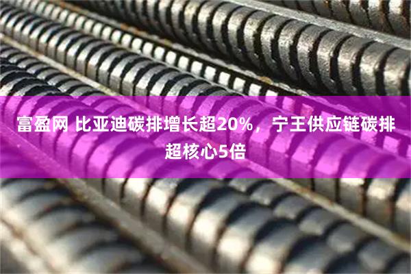 富盈网 比亚迪碳排增长超20%，宁王供应链碳排超核心5倍