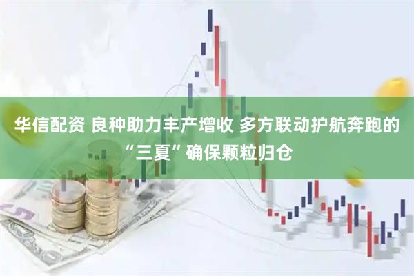 华信配资 良种助力丰产增收 多方联动护航奔跑的“三夏”确保颗粒归仓