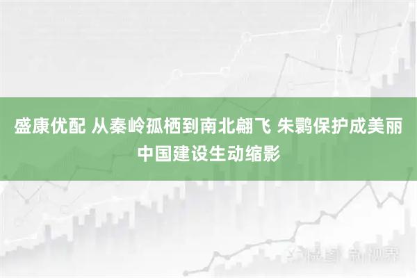 盛康优配 从秦岭孤栖到南北翩飞 朱鹮保护成美丽中国建设生动缩影